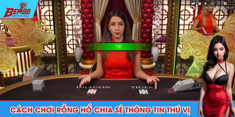 Cách chơi rồng hổ chia sẻ thông tin thú vị