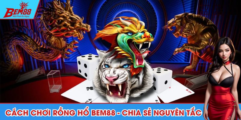 Cách chơi rồng hổ