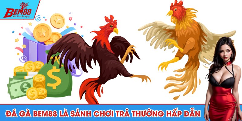 Đá gà BEM88 là sảnh chơi trả thưởng hấp dẫn