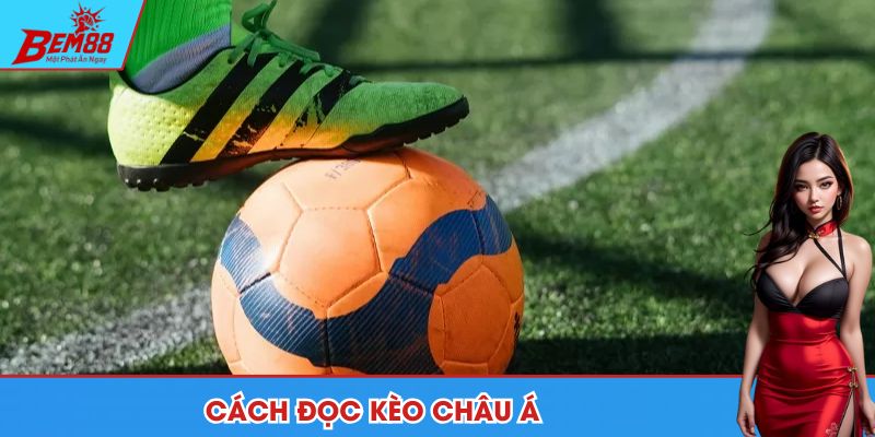 Kèo châu Á và cách đọc những tỷ lệ cược phổ biến