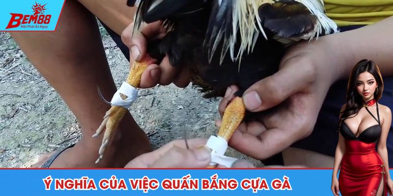 Lý giải ý nghĩa của việc quấn cho chiến kê