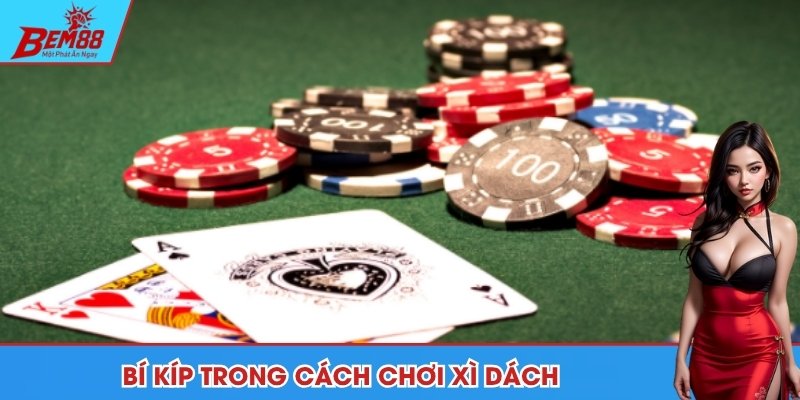 Những mẹo nâng cao trong cách chơi xì dách