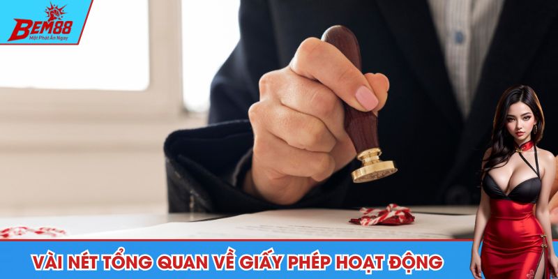 Vài nét tổng quan về giấy phép hoạt động