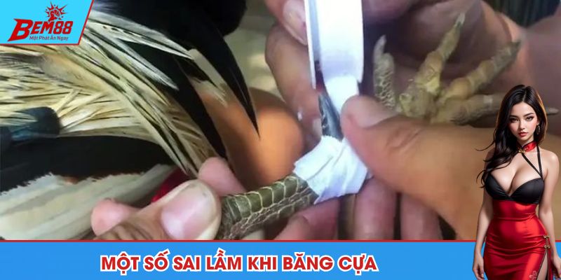 Vài sai lầm cần phải tránh khi quấn cựa cho chiến kê